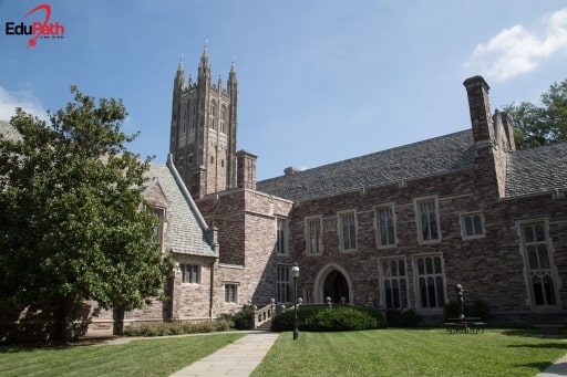 Đại học Princeton - EduPath