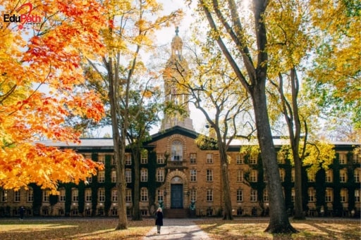 Princeton University - EduPath