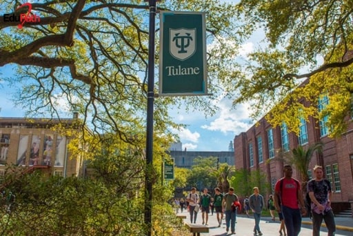 Tulane University of Louisiana đào tạo kinh doanh quốc tế hàng đầu tại Mỹ - EduPath