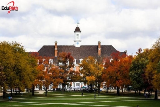 Đại học Illinois là nam châm hàng đầu thế giới về kỹ thuật và khoa học - EduPath
