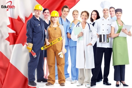Có rất nhiều ngành nghề cho bạn chọn khi đến Canada du học - EduPath