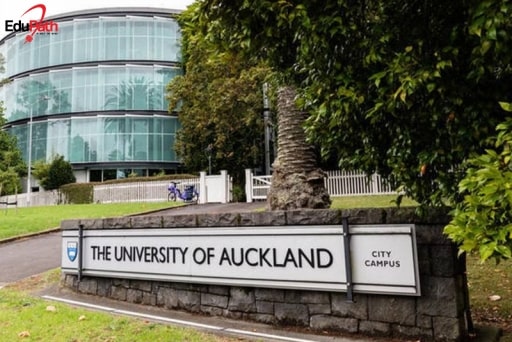 Auckland University có chương trình đào tạo dự bị cho sinh viên - EduPath