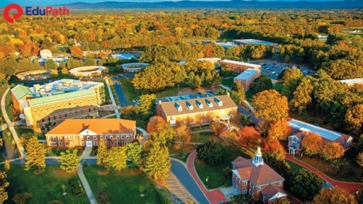 Cảnh quan trường Western New England University - EduPath