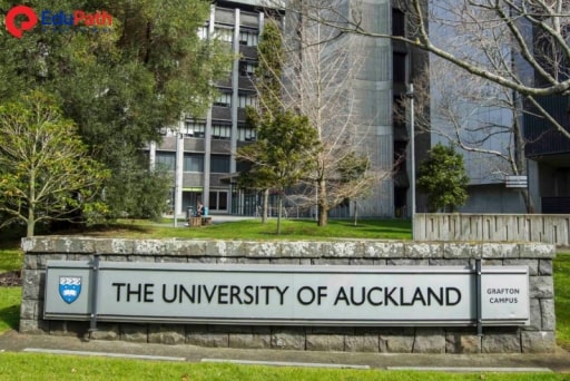 Đại học Auckland là một trong những trường đại học hàng đầu New Zealand - EduPath