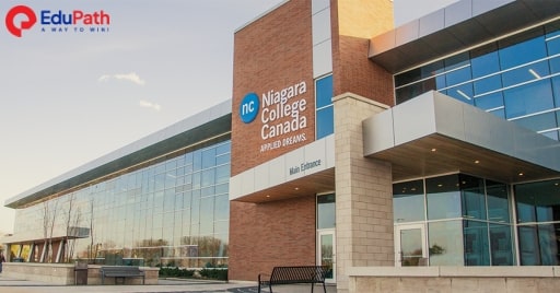 Niagara College nổi tiếng với việc tập trung chủ yếu vào học tập và thực hành, giao lưu với các doanh nghiệp và các hoạt động thực tập liên quan đến thực tế - EduPath